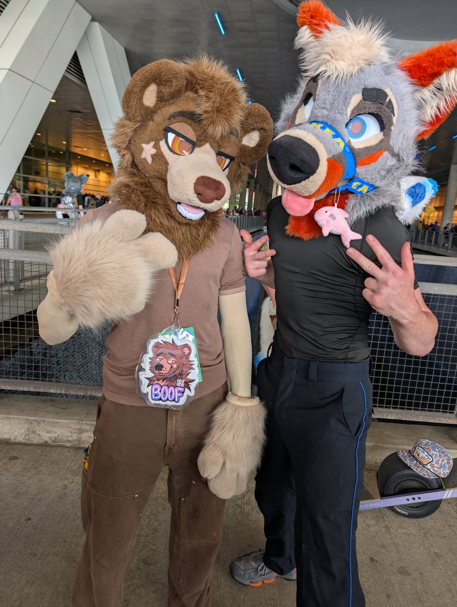 PartDoggo's tweet image. Don&apos;t meet your idols, they might be shorter in person