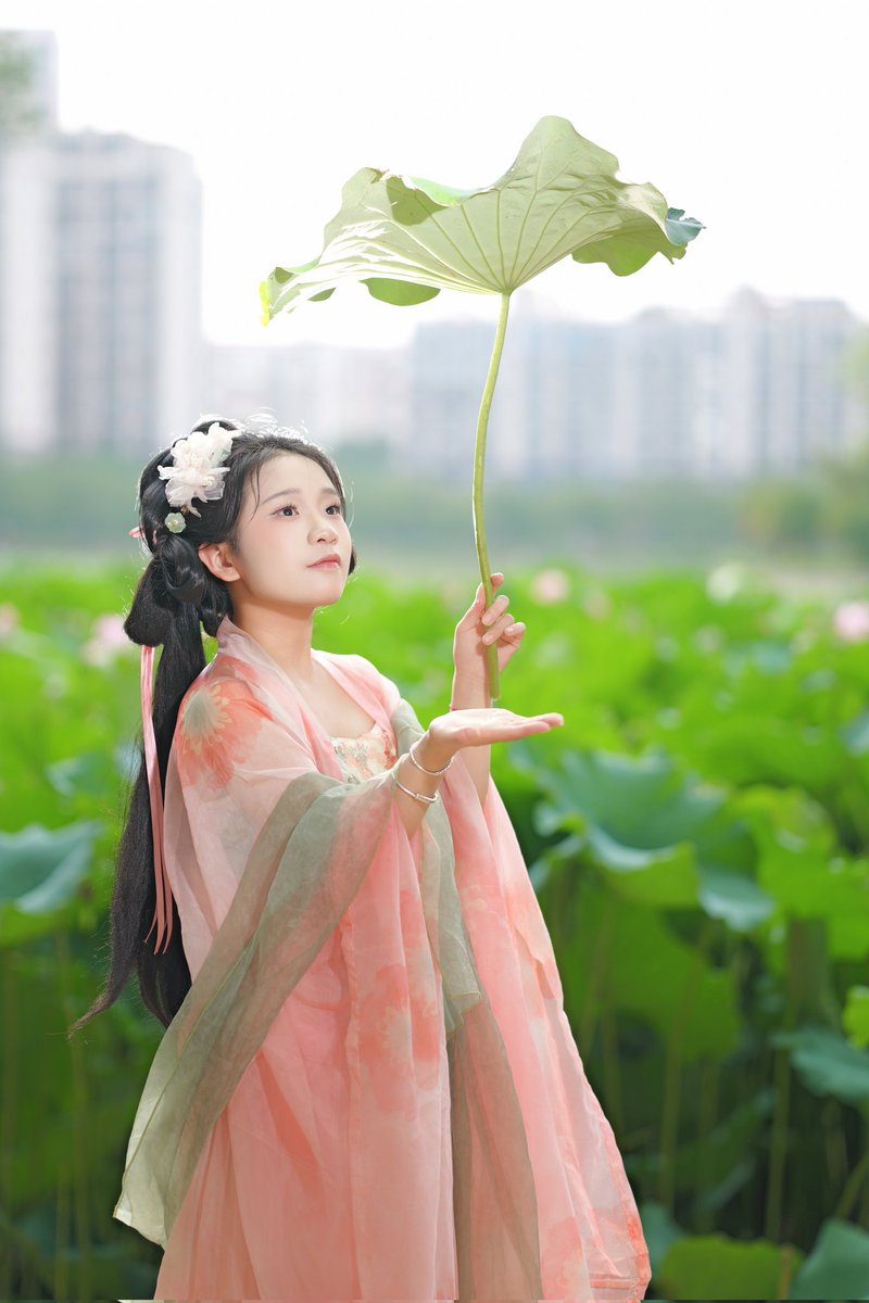 X14710's tweet photo. 误入藕花深处。争渡。争渡。惊起一滩鸥鹭（河南可约拍） https://t.co/Wh5jbBFxWp