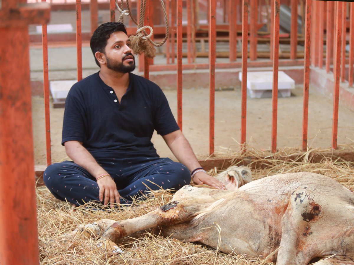 Ashwinsampathk's tweet image. He couldn’t stand. His legs—fractured in more than one place. His body—battered. But his eyes… still held a quiet plea for help.
Today, I sat down beside him—not as a humble servant of @daksinvrindavan , but as one more human trying to unbreak what the world has broken.
We…