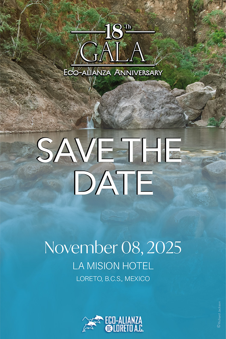 SAVE THE DATE! SATURDAY, NOVEMBER 8! - mailchi.mp/accea29d9f3d/s…
