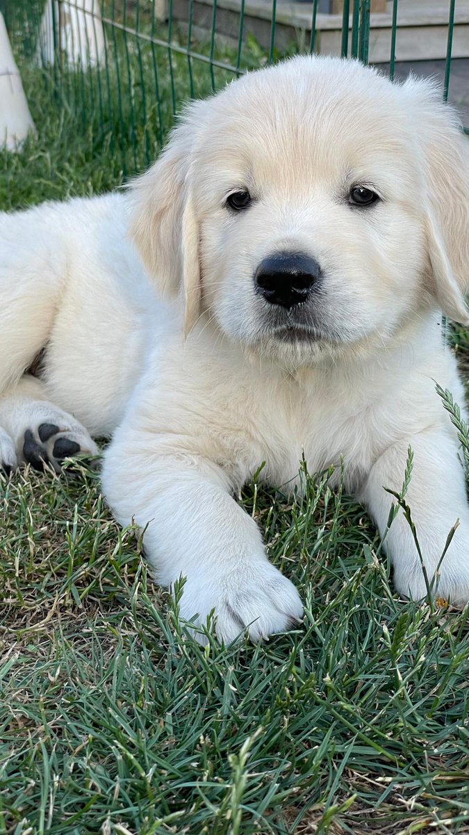 Freitag zieht er bei uns ein😍 #Bernhard