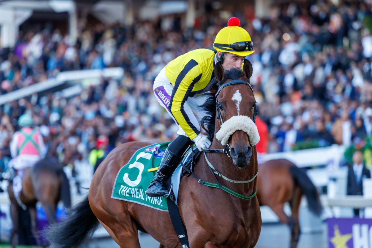 The Real Prince Moves To 125

sportingpost.co.za/the-real-princ…