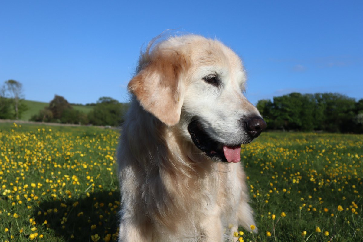 Mum and I have just got home from a long hot day at the hospital where she has successfully had chemotherapy treatment no. 6 🙏
My notifications are full of love for my special girl, thank you all so much for remembering her with me today 💜🥰