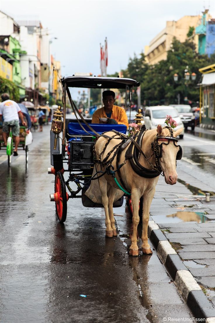 j09ja's tweet photo. Di Kota Besar masih ada kendaraan tradisional 🥰 https://t.co/uhu7yswioj