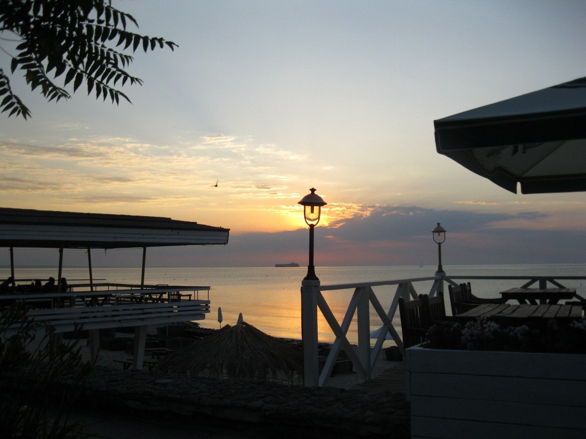 Катерина Галич tweet media