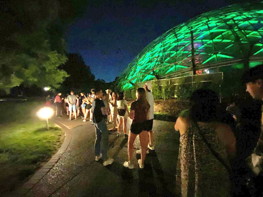 Dave W. Checkmark free since 2013 (@germjuggler) on Twitter photo Third time's the charm. The corpse flower at <a href="/mobotgarden/">MO Botanical Garden</a> started to bloom so hopped in the car for a late night showing to finally get to check it out in all its glory. A bit smaller than most, but "Desi" did not disappoint. Thanks to the Garden staff for making this possible. Third time's the charm. The corpse flower at <a href="/mobotgarden/">MO Botanical Garden</a> started to bloom so hopped in the car for a late night showing to finally get to check it out in all its glory. A bit smaller than most, but "Desi" did not disappoint. Thanks to the Garden staff for making this possible.