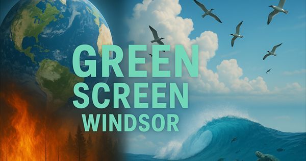 Event opens at 14:00 | Film at 15:00

Book your seat / donate: bit.ly/44QpLud

#RiverPollution #riverwatch #CleanWater #CleanWaterCampaign #greenscreen #greenscreenwindsor  #documentary #documentaryfilm #surfersagainstsewage #cleanriver #stopriverpollution #ecowarrior