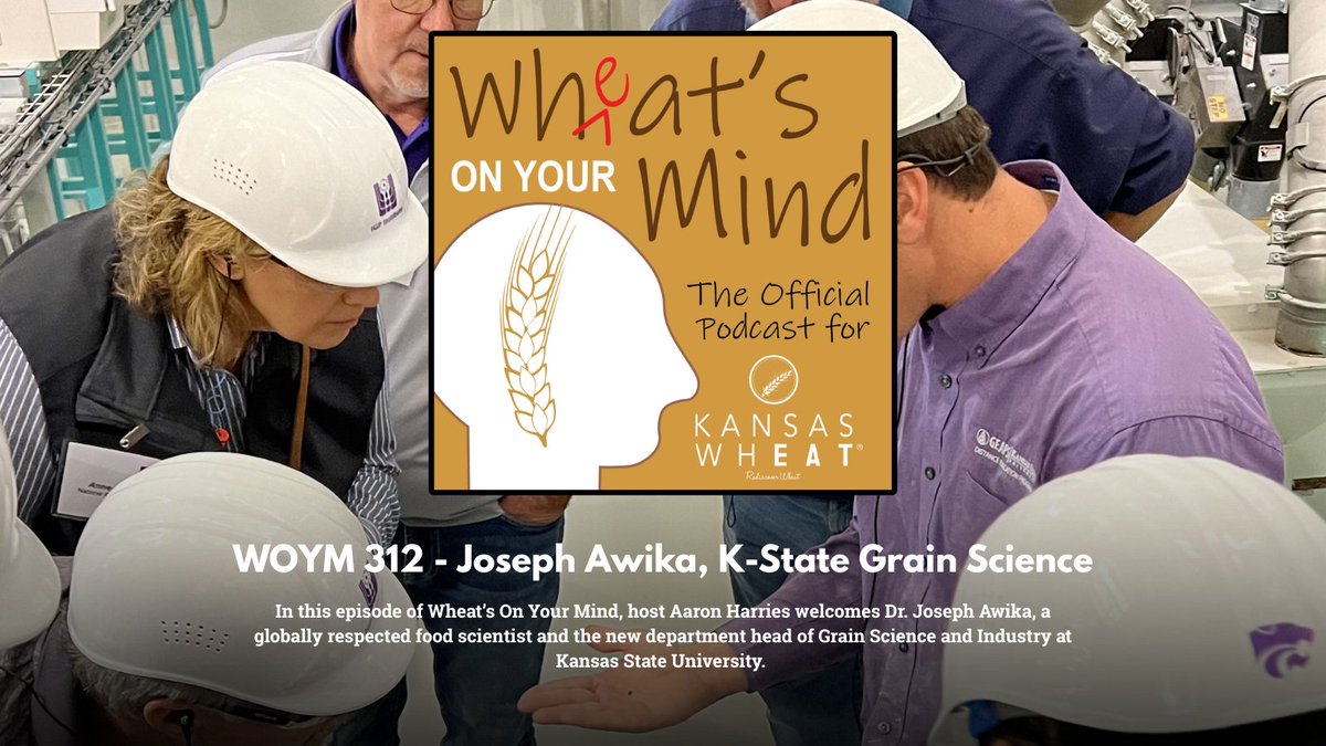 This week on Wheat’s On Your Mind 🎧
Dr. Joseph Awika shares how K-State’s Global Center for Grain and Food Innovation will shape the future of food, from polyphenols to pet food.

Listen: apple.co/4lgDzUz