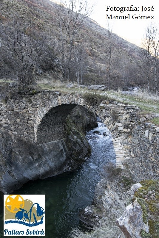 visitpallars's tweet image. 🌿 Proposta de passejada
La simplicitat captivadora,vall d’Àrreu
Ruta curta, fàcil i encantadora des de Borén fins al poble d’Àrreu.
📍 3,7 km | 1h30 | 400 m desnivell | Circular
🔗 bit.ly/àrreu
#PallarsSobirà #VallsdÀneu #Senderisme #SobiràMésEnllà #ADNLleida