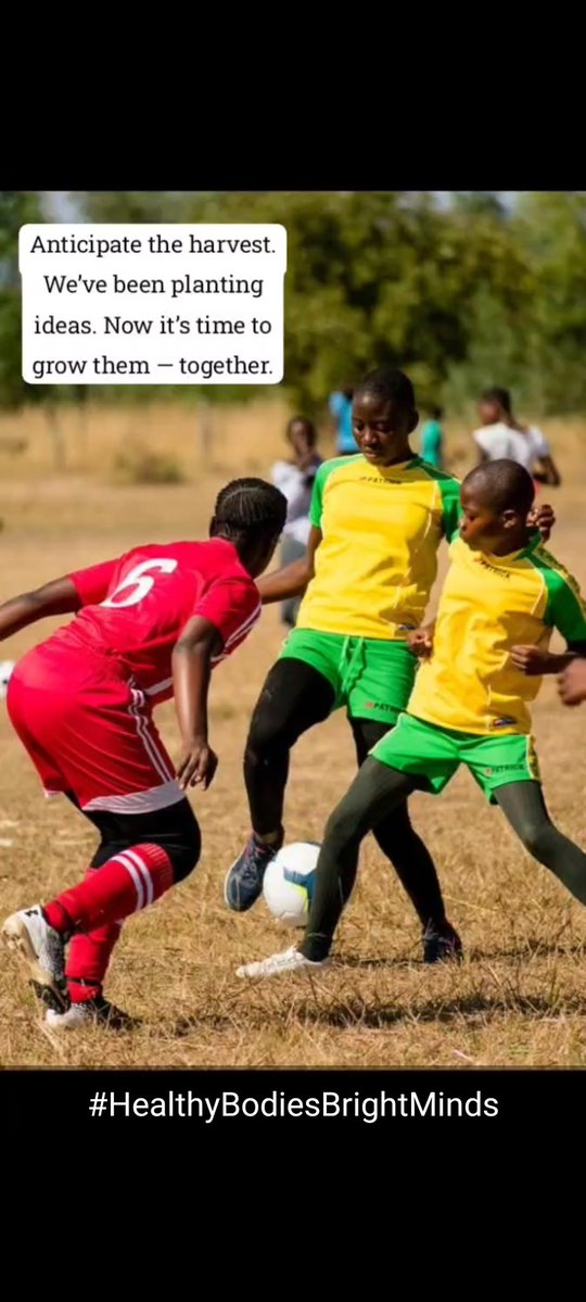 That Lawyer from the village (@kensymarufu) on Twitter photo Let's all gather and support the girls soccer tournament scheduled for this August. Together we can help to empower girls in rural areas through sports. <a href="/SANDEJAQ/">Dr. Sande-Kamanga</a>
<a href="/Zvoutete14/">Dr. Solicitor At Large</a> <a href="/MacBelts/">Gerrard Anko Ged Belts</a>
gofund.me/802b5e82 Let's all gather and support the girls soccer tournament scheduled for this August. Together we can help to empower girls in rural areas through sports. <a href="/SANDEJAQ/">Dr. Sande-Kamanga</a>
<a href="/Zvoutete14/">Dr. Solicitor At Large</a> <a href="/MacBelts/">Gerrard Anko Ged Belts</a>
gofund.me/802b5e82