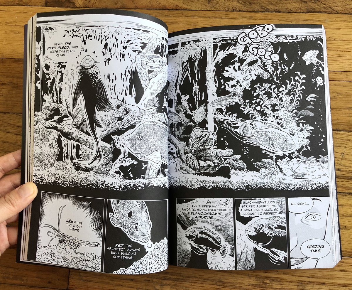 deatoozhu's tweet image. Just finished “The Harrowing Game” by Antoine Revoy, my dear professor who taught me how to draw comic. Was just blown away.... I’ll be sad if anyone misses this out (it’s available on Am@zon!