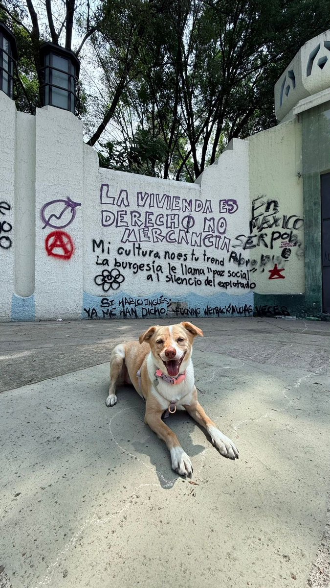 Lo ocurrido la semana pasada durante y tras la marcha anti-gentrificación en la Ciudad nos debe llevar a una reflexión más profunda: Desde la legislatura pasada, la #BancadaNaranja hemos insistido que sin un plan, la ciudad va a la deriva.

Los fenómenos demográficos surgidos a