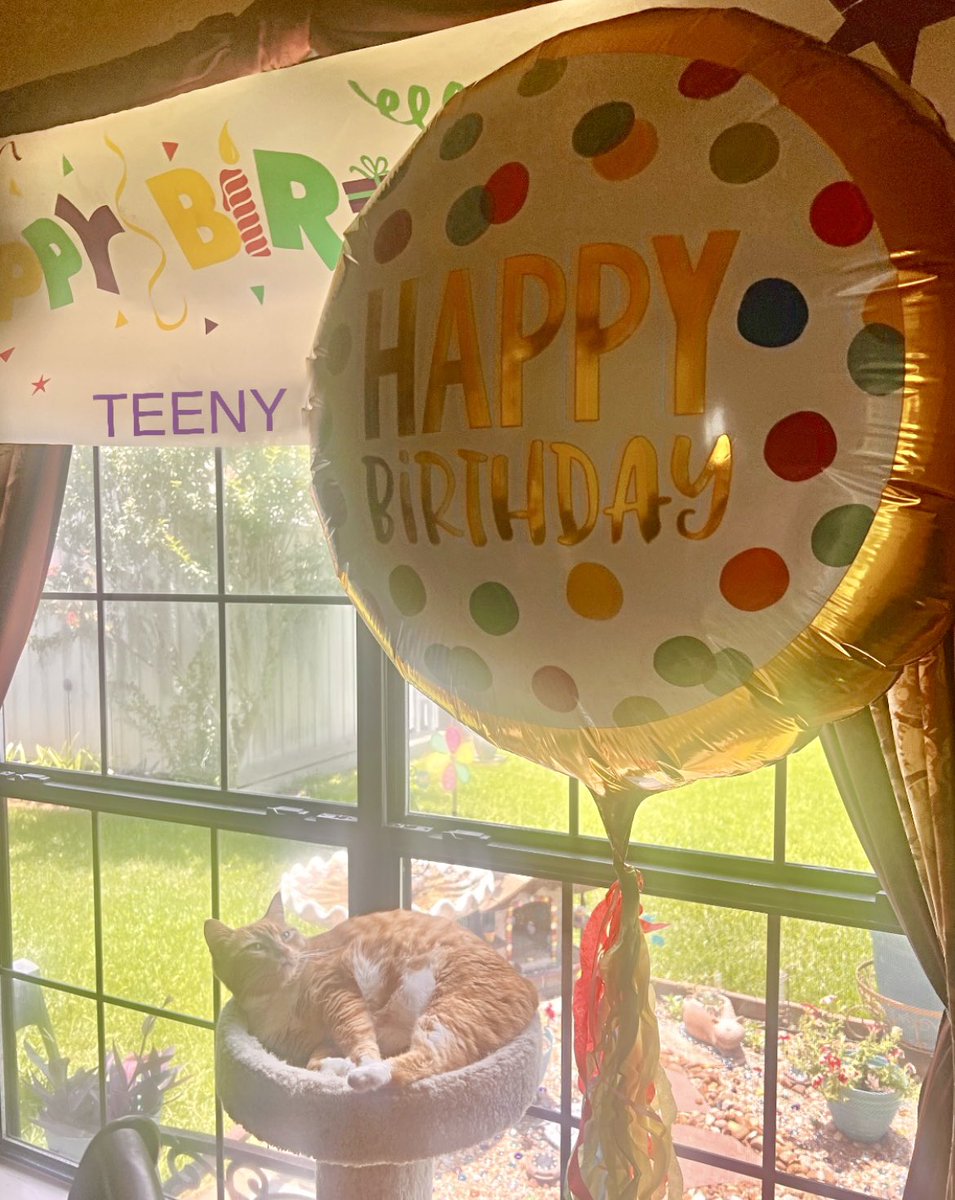 In my household every year we save the best birthday for last and today it is here. HAPPY 11th BIRTHDAY TO ME! 🎉🎂🐾 #Hedgewatch