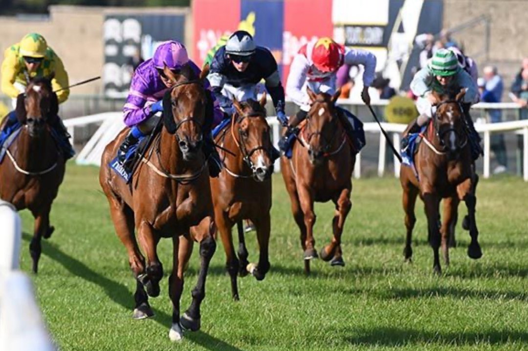 Eoghan O'Neill (@ejoneillracing) on Twitter photo 💜NO NIKI NO💜 (Helmet) runs her heart out once again to record Win No. 9 of her career <a href="/TramoreRaces/">Tramore Racecourse</a> under <a href="/chrishayes24/">Chris Hayes</a>. Well done to all connections! <a href="/Tattersalls_ie/">Tattersalls Ireland</a> purchase. What a servant she's been to us! 💜NO NIKI NO💜 (Helmet) runs her heart out once again to record Win No. 9 of her career <a href="/TramoreRaces/">Tramore Racecourse</a> under <a href="/chrishayes24/">Chris Hayes</a>. Well done to all connections! <a href="/Tattersalls_ie/">Tattersalls Ireland</a> purchase. What a servant she's been to us!
