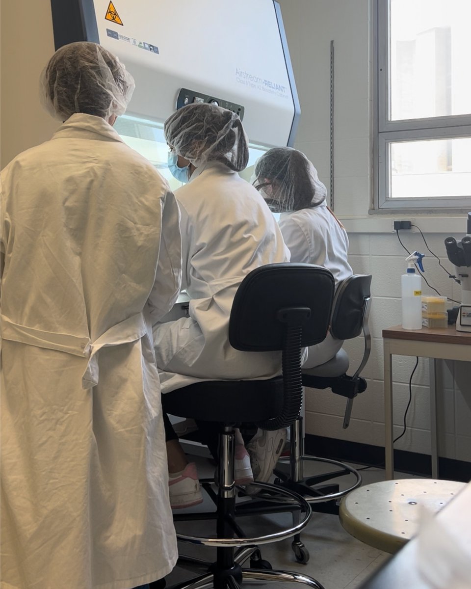 Viktoriia Feofanova is majoring with a B.S. in Molecular,   Cellular and Developmental Biology, and is doing research in Caetano Antunes’s Lab. 🧵@kumolbio