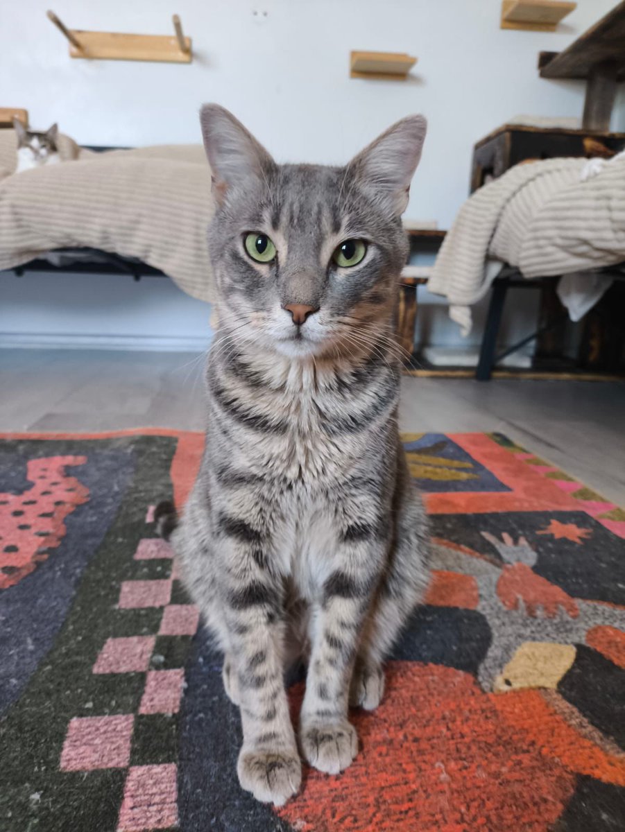 Gümis beyim iki kere terk edilmesine rağmen yine çiçek açıyo ve onu terk etmeyecek ailesini arıyoo✨️