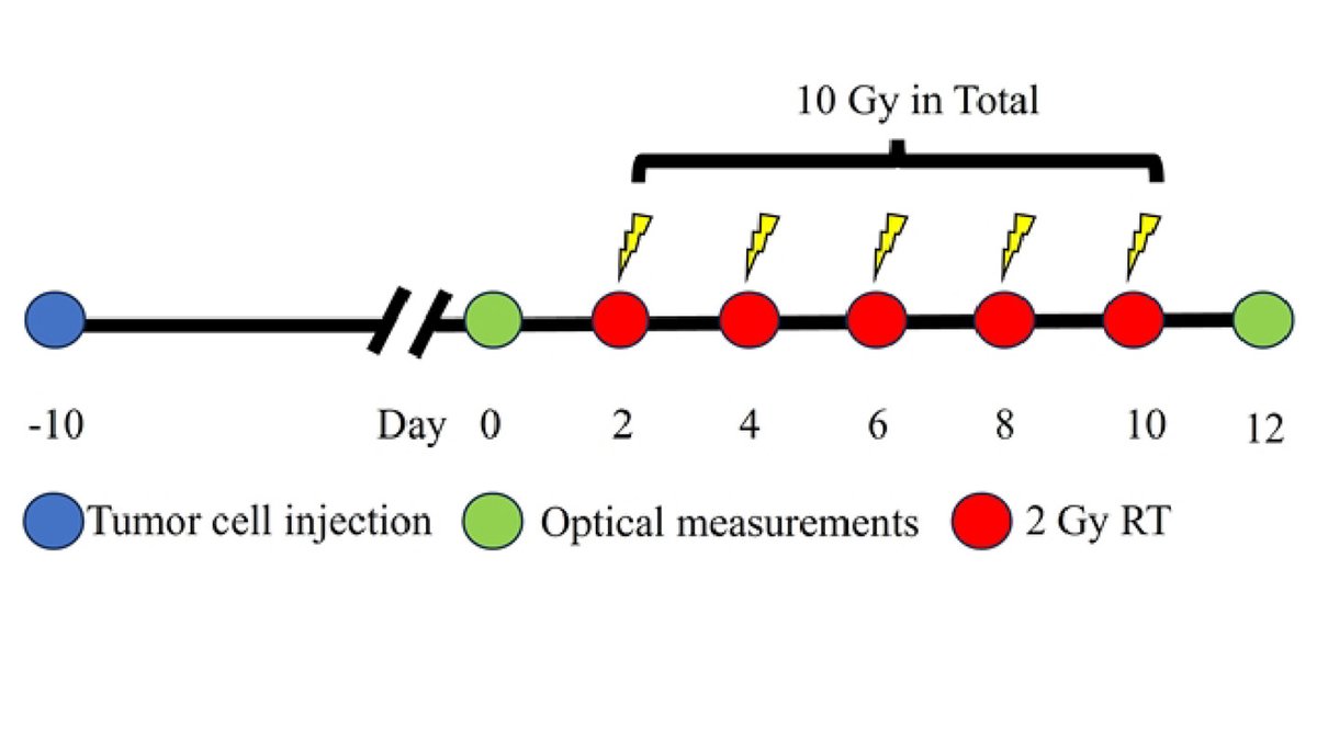 Optica Publishing Group (@opticapubsgroup) on Twitter photo An Editors' Pick via #OPG_BOEx: Multi-parametric functional optical spectroscopy to monitor the metabolic and vascular changes in small head and neck tumors in vivo with radiation stress bit.ly/4nBfpWD #RadiationTherapy #TumorHypoxia <a href="/universityofky/">University of Kentucky</a> An Editors' Pick via #OPG_BOEx: Multi-parametric functional optical spectroscopy to monitor the metabolic and vascular changes in small head and neck tumors in vivo with radiation stress bit.ly/4nBfpWD #RadiationTherapy #TumorHypoxia <a href="/universityofky/">University of Kentucky</a>