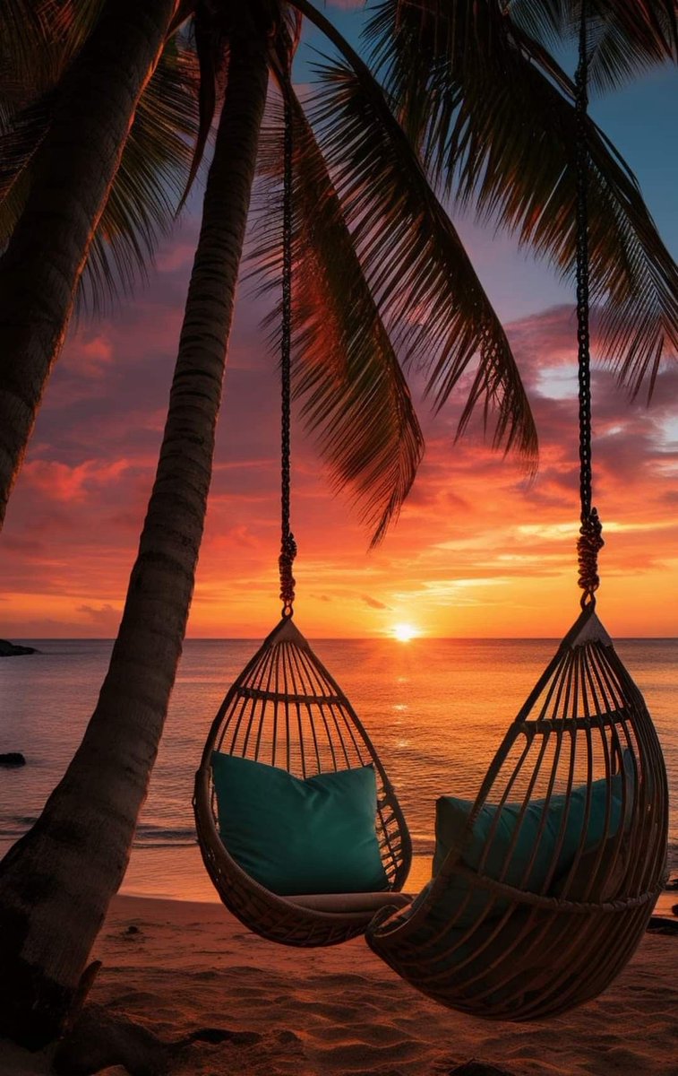 Buenas noches ✨🌴💫