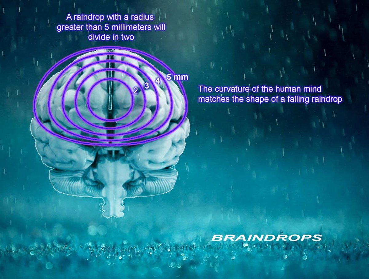 Unify's tweet photo. Coincidence?

#BrainDrops #RainDrops #Water #Gravity #Brain #UNIFY https://t.co/9O1S8RnzLm