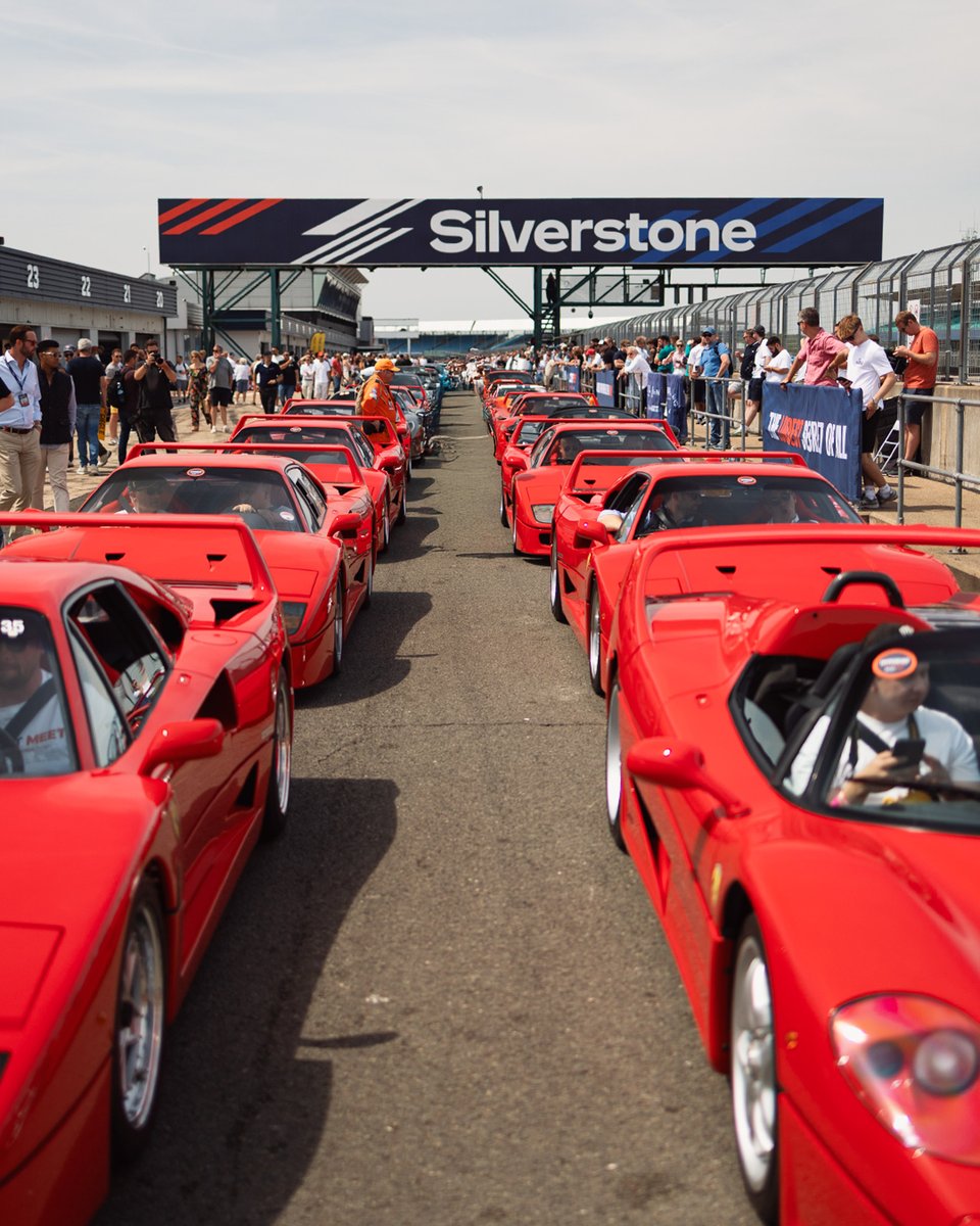 Regtransfers's tweet image. 🚨 F40 HEAVEN ALERT 🚨

At Regtransfers, we know the right plate can elevate any car — even an icon like the F40. Ready to find yours? 👉 regtransfers.co.uk

#FerrariF40 #F40 #PrivatePlates #Regtransfers #NumberPlates
