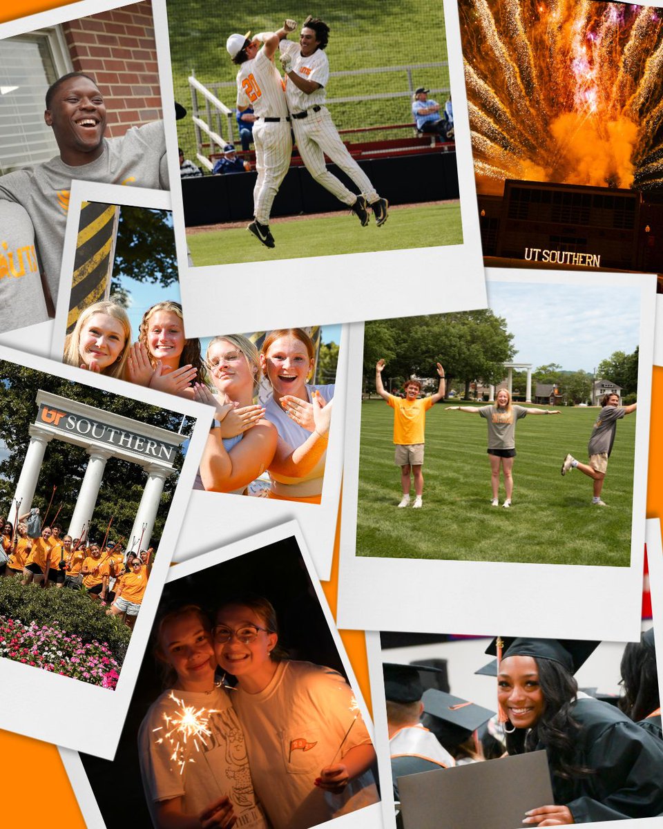 UT_Southern's tweet image. Celebrating 4️⃣ years in the UT System! 🎂🧡
As the youngest member of the University of Tennessee System, we’re proud of how far we’ve come and even more excited for what’s ahead. Here’s to 4 years of bold beginnings, big dreams, and a bright future! 🔥