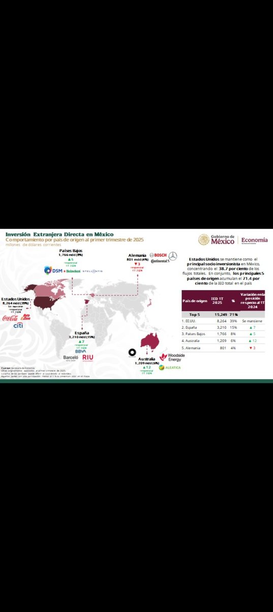 Fernando Mayer De Leeuw tweet media