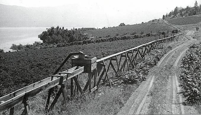 WestbankHistory's tweet image. Throwback Thursday:
This week we are going back to the 1940s with this photo of the irrigation flumes in Casa Loma.
#westbankmuseum #ThrowbackThursday #1940s #irrigation