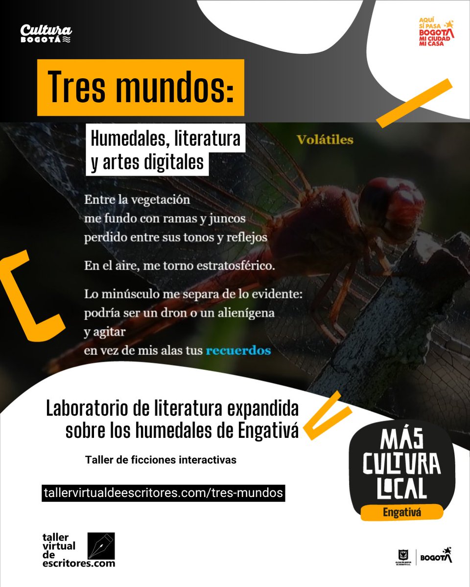 taller_virtual's tweet photo. De la mano de nuestros participantes seguimos avanzando en el laboratorio «Tres mundos: humedales, literatura y artes digitales». Falta poco para tener el libro álbum en formato físico. Mientras esto sucede, seguimos en la creación de hiperficciones. https://t.co/nMi307zL7B
