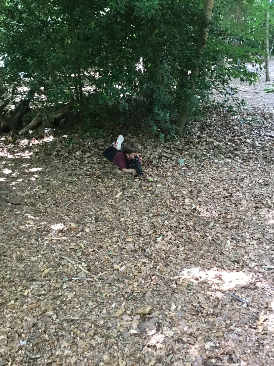 AVPA Year 4 tweet media