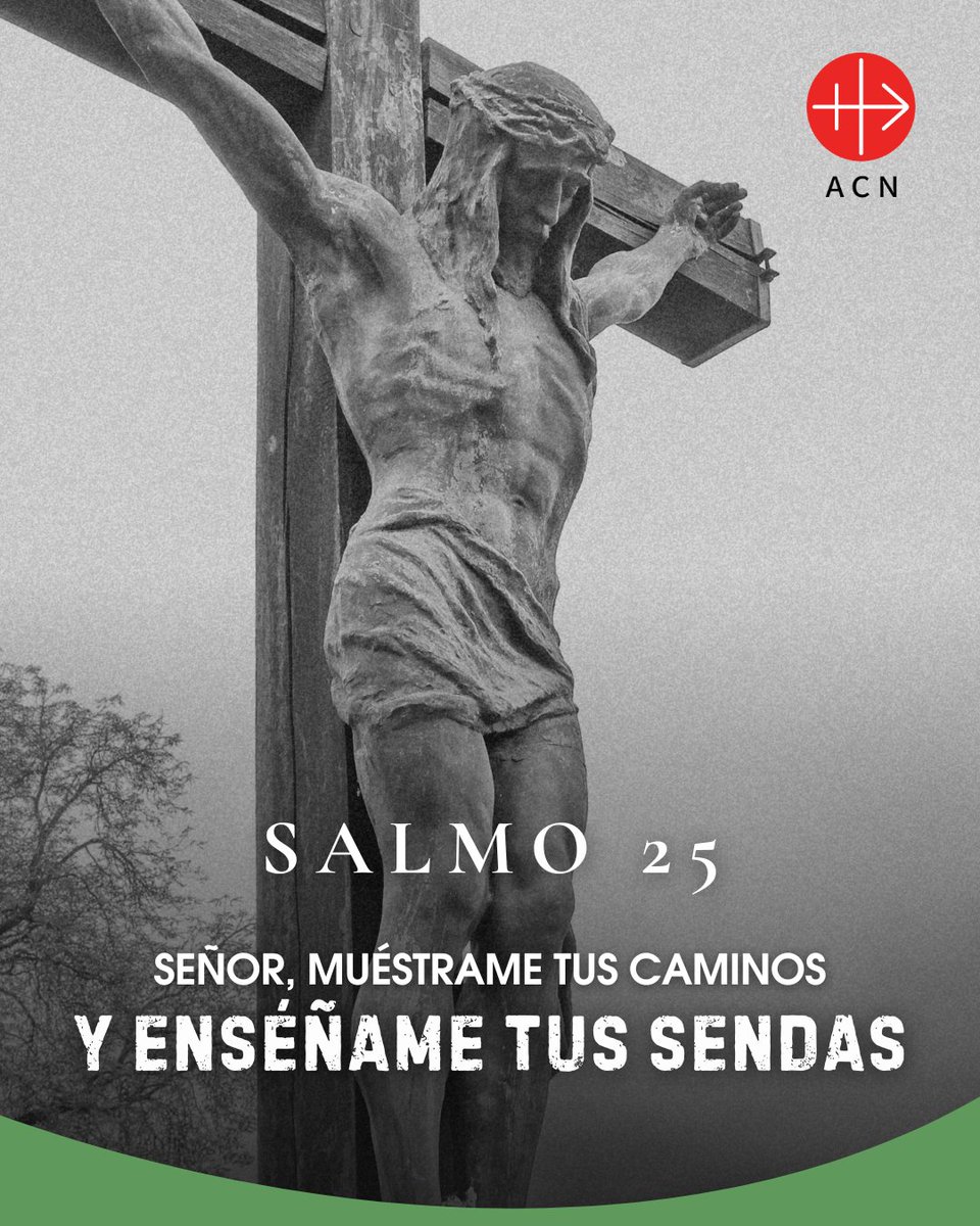 ACNMex's tweet photo. 📖Salmo 25

«En ti, Señor, confío; no permitas que me avergüence.»
🙏✨ Aunque el camino sea incierto, mi esperanza está en Ti.

#Salmo25 #Fe #ConfianzaEnDios https://t.co/42b78leQMr
