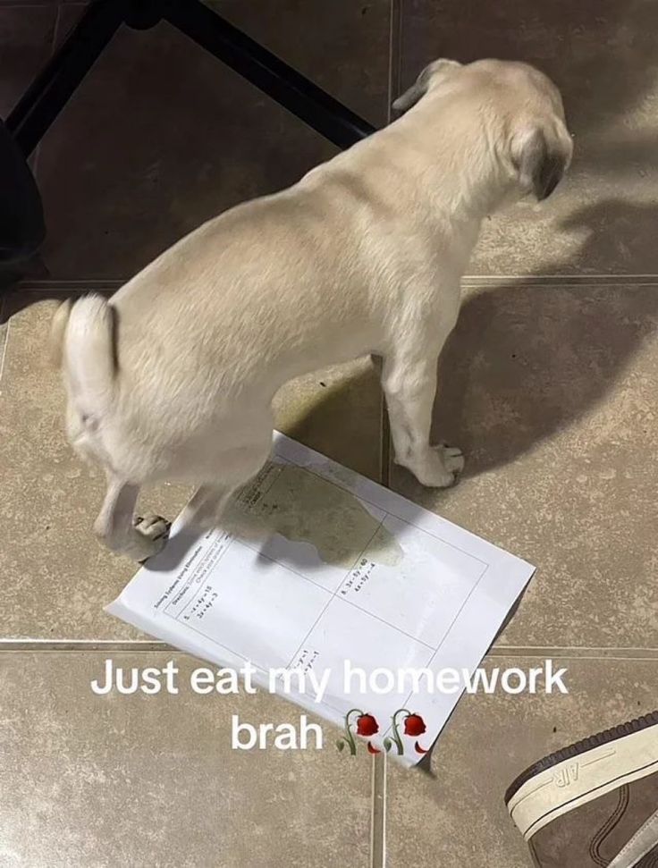 🕐HOURLY🕑 shitpost tweet media