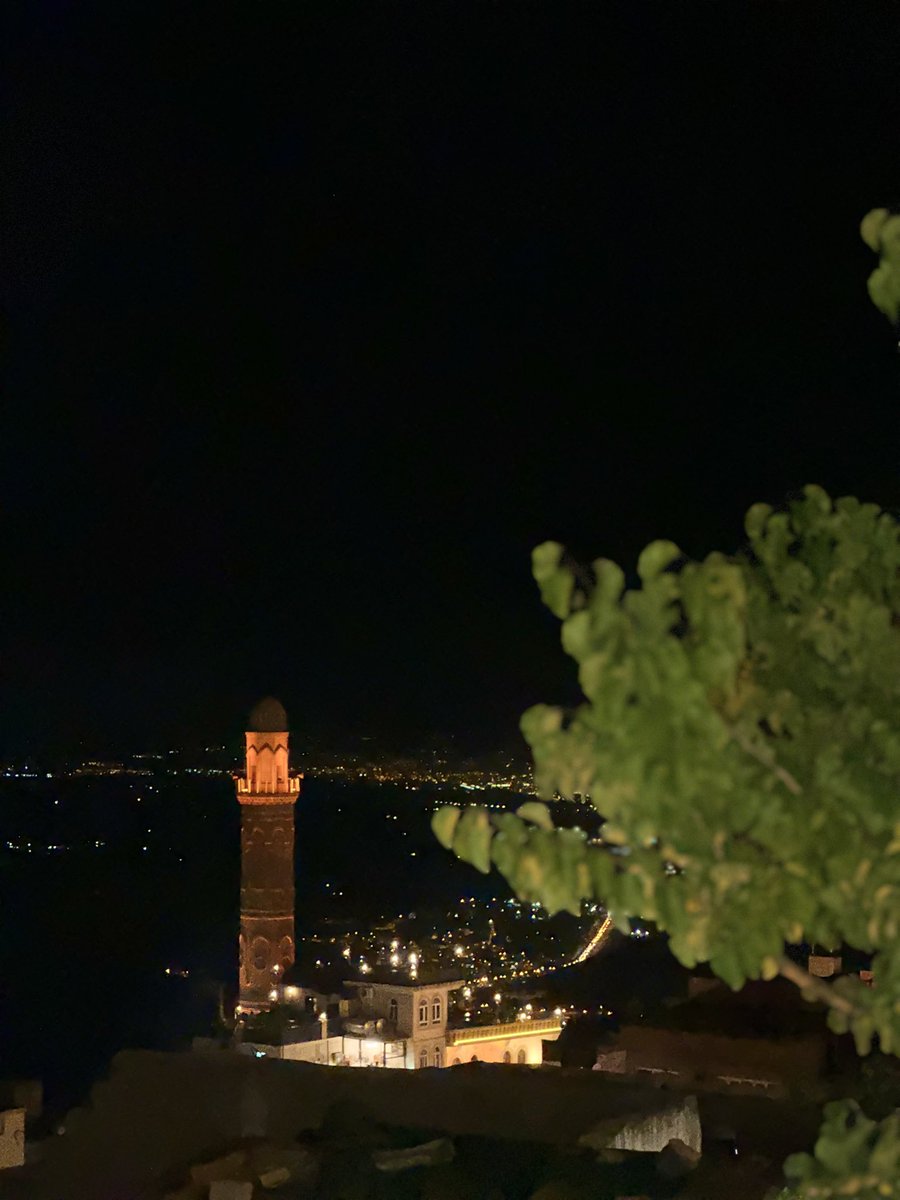 Ben mardini özledim galiba 🥺