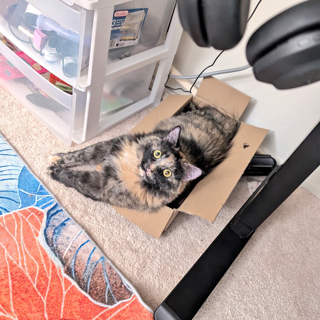 This box is perfectly Latte sized, so it can never be thrown away