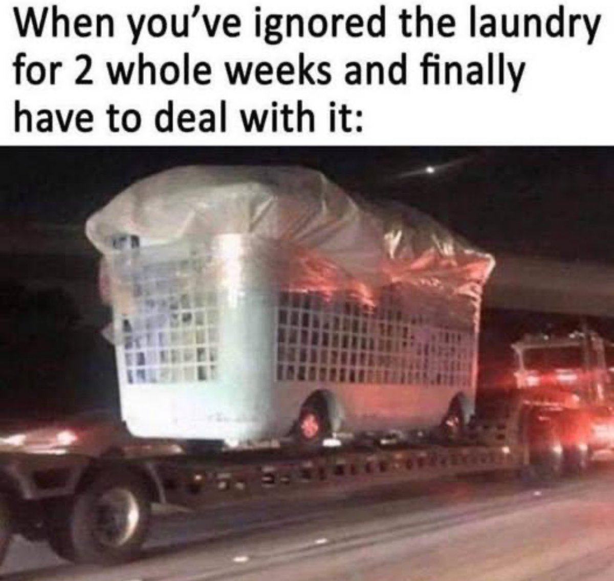 Midday Meme
🧺🤭