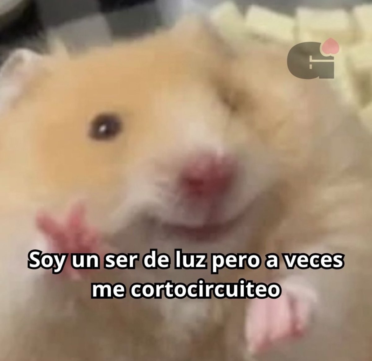 Estoy teniendo muuuucha paciencia para no cortocircuitar, así  que os pido si estáis malitas de la cabeza ponedle solución. Gracias  🙂