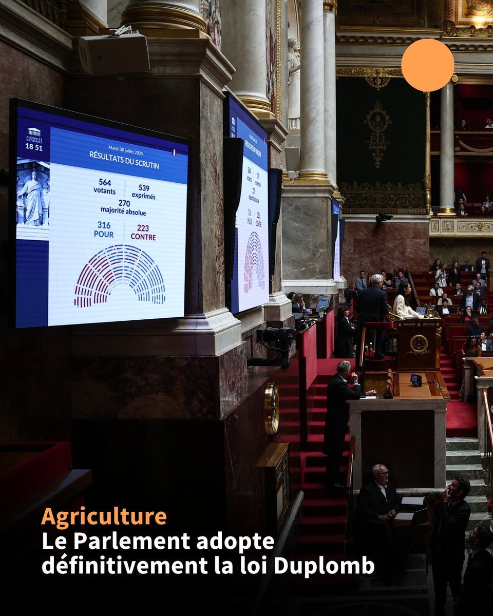 Le Parlement a définitivement adopté mardi la proposition de loi agricole Duplomb-Menonville, comprenant entre autres une mesure décriée de réintroduction sous conditions d'un pesticide néonicotinoïde, et présentée comme une réponse à la colère agricole de 2024.
