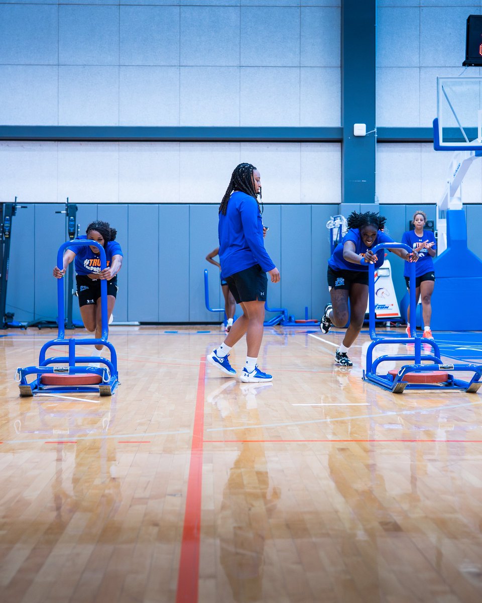 UTAMavsWBB's tweet image. gains 🦾

#BuckEm 🐎 | #Play2Win