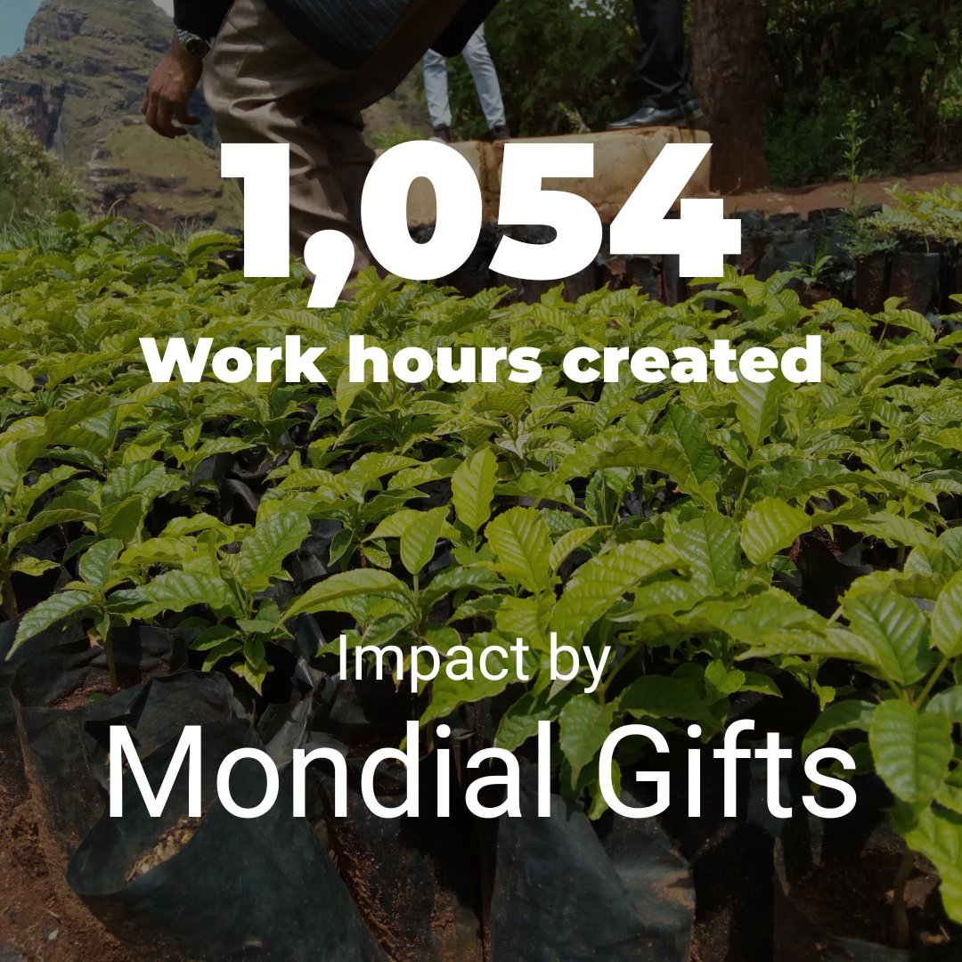 Changing Lives One Tree at a Time!
1,054 Work Hours Created

Thanks to <a href="/MondialGifts/">#Relatiegeschenken</a>, we’ve created 1,054 work hours, providing employment and stability to families in reforestation zones. 

#SustainableImpact #BusinessForGood #Reforestation #CorporateSustainability #ForestNation