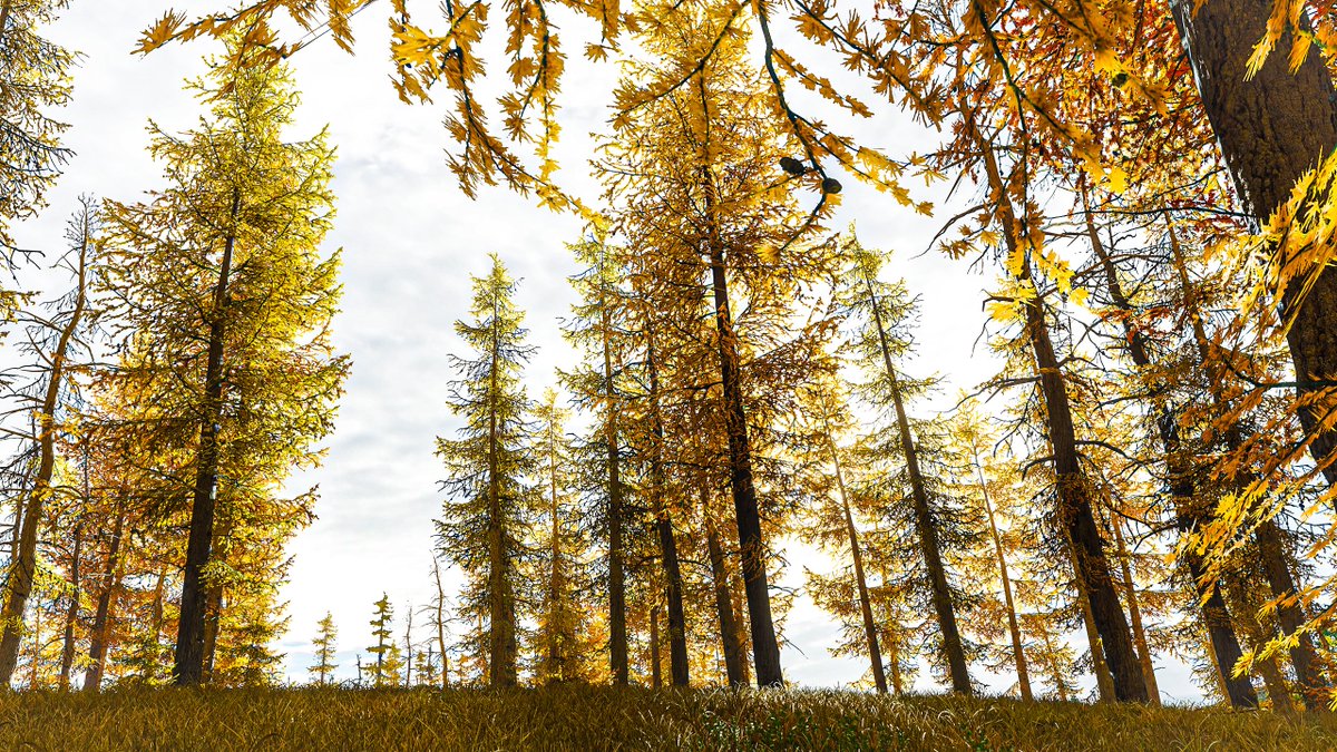 Velxity_'s tweet image. Fortune Island in FH4 🏝️ 

#ForzaHorizon4 #ForzaShare