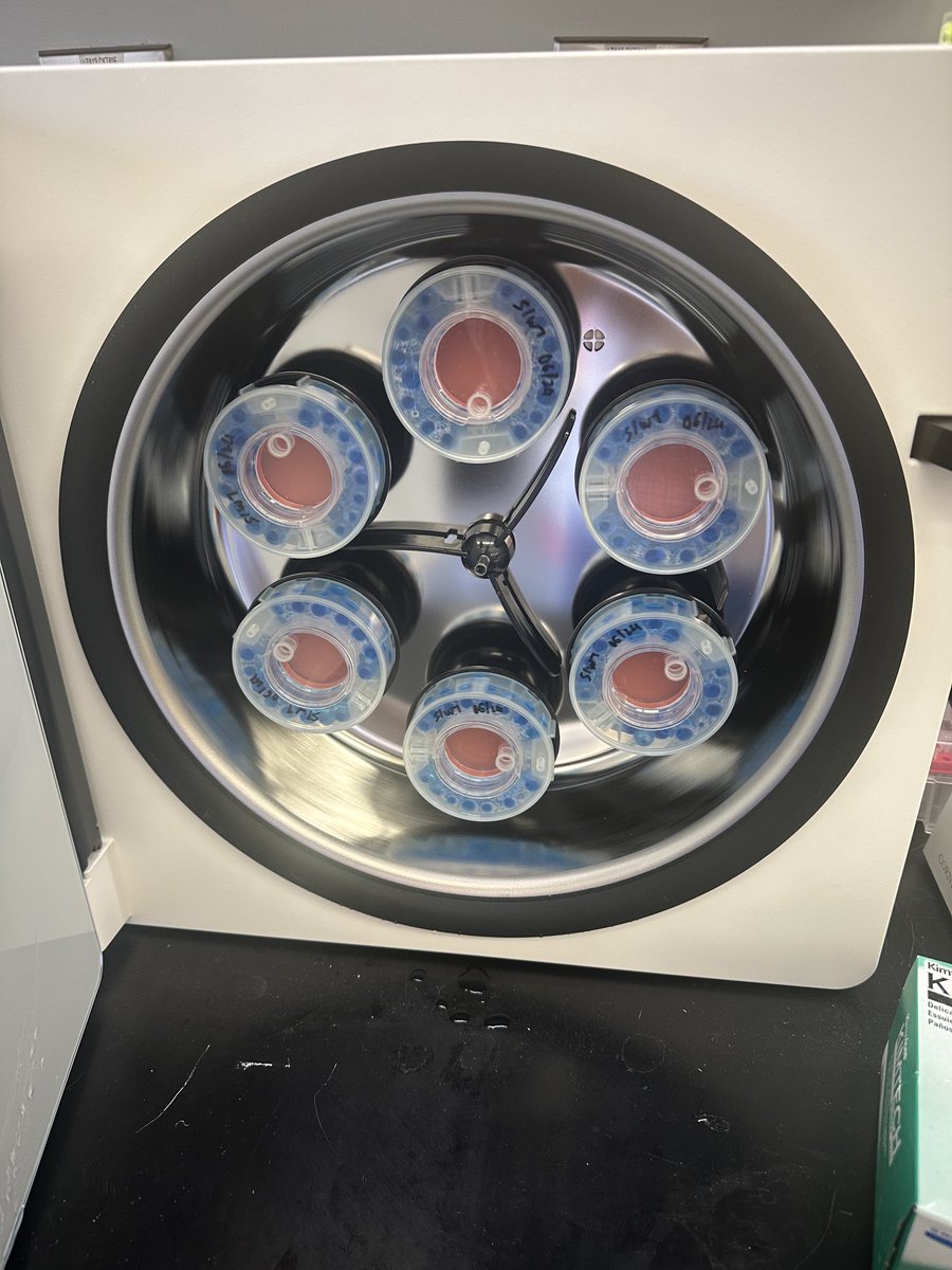 All the organoids!!

Churning away, making ALS and Alzheimer’s disease human models on a dish!

Or, you know, on what looks like a (truly expensive) dryer!