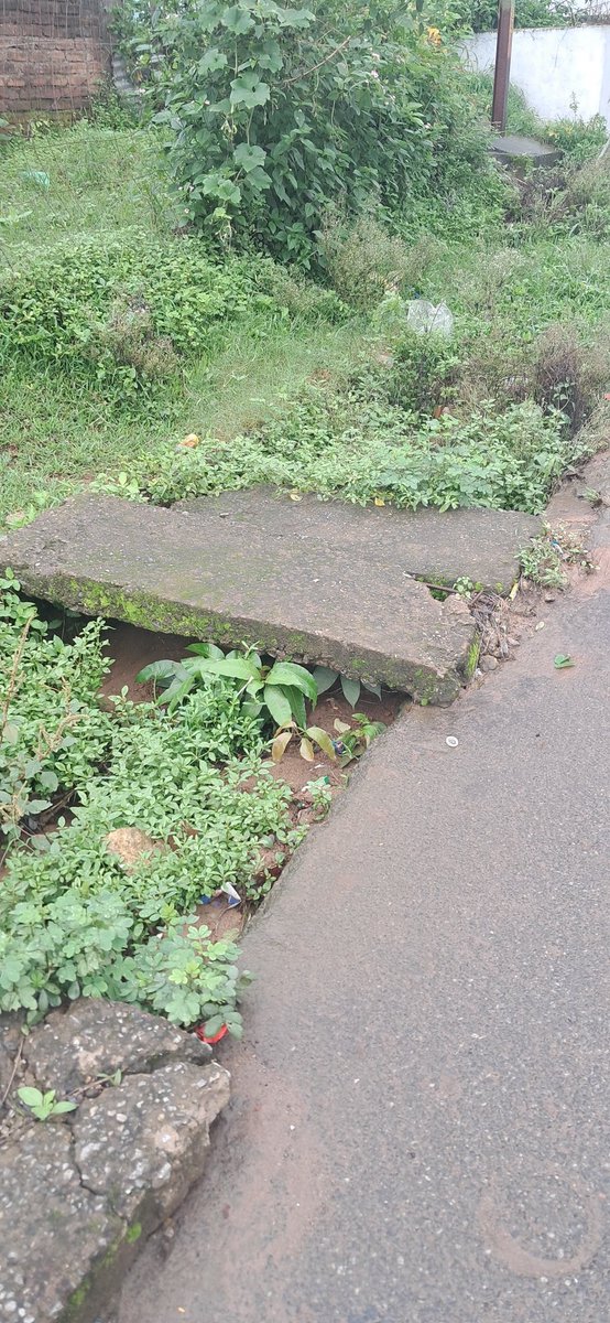 ଶ୍ରୀକ୍ଷେତ୍ର ସେବା ସଂଗଠନ, ଓଡ଼ିଶା (@biswalenka4) on Twitter photo ଫୁଲବାଣୀ ସହର ଅନୁକୂଳ ଚନ୍ଦ୍ର ଠାକୁର ବାଡି ପାର୍ଶ୍ଵ ନଳା ପୋତି ହୋଇଗଲାଣି । ପାଣି ନିଷ୍କାସନ ନ ହେବା ଯୋଗୁ ଏଠାରେ ମଶା ଙ୍କ ହଟସ୍ପଟ ହେଲାଣି ।ଏଣୁ <a href="/PhulbaniMpty/">PhulbaniMunicipality</a> <a href="/DMKandhamal/">Collector Kandhamal</a> <a href="/SKPanigrahiBJP/">Sukanta Panigrahi</a> <a href="/SwachhBharatGov/">Swachh Bharat Urban</a> ଙ୍କୁ ଅନୁରୋଧ ଫୁଲବାଣୀ ସ୍ବାଗତ ତୋରଣ ରୁ ଗାନ୍ଧୀ ଛକ କୁ ଯାଇଥିବା ନଳା କୁ ସଫେଇ କରାଯାଉ । ଫୁଲବାଣୀ ସହର ଅନୁକୂଳ ଚନ୍ଦ୍ର ଠାକୁର ବାଡି ପାର୍ଶ୍ଵ ନଳା ପୋତି ହୋଇଗଲାଣି । ପାଣି ନିଷ୍କାସନ ନ ହେବା ଯୋଗୁ ଏଠାରେ ମଶା ଙ୍କ ହଟସ୍ପଟ ହେଲାଣି ।ଏଣୁ <a href="/PhulbaniMpty/">PhulbaniMunicipality</a> <a href="/DMKandhamal/">Collector Kandhamal</a> <a href="/SKPanigrahiBJP/">Sukanta Panigrahi</a> <a href="/SwachhBharatGov/">Swachh Bharat Urban</a> ଙ୍କୁ ଅନୁରୋଧ ଫୁଲବାଣୀ ସ୍ବାଗତ ତୋରଣ ରୁ ଗାନ୍ଧୀ ଛକ କୁ ଯାଇଥିବା ନଳା କୁ ସଫେଇ କରାଯାଉ ।