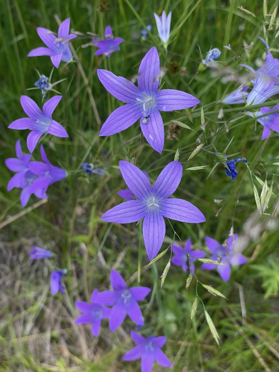 Only One On Planets tweet media