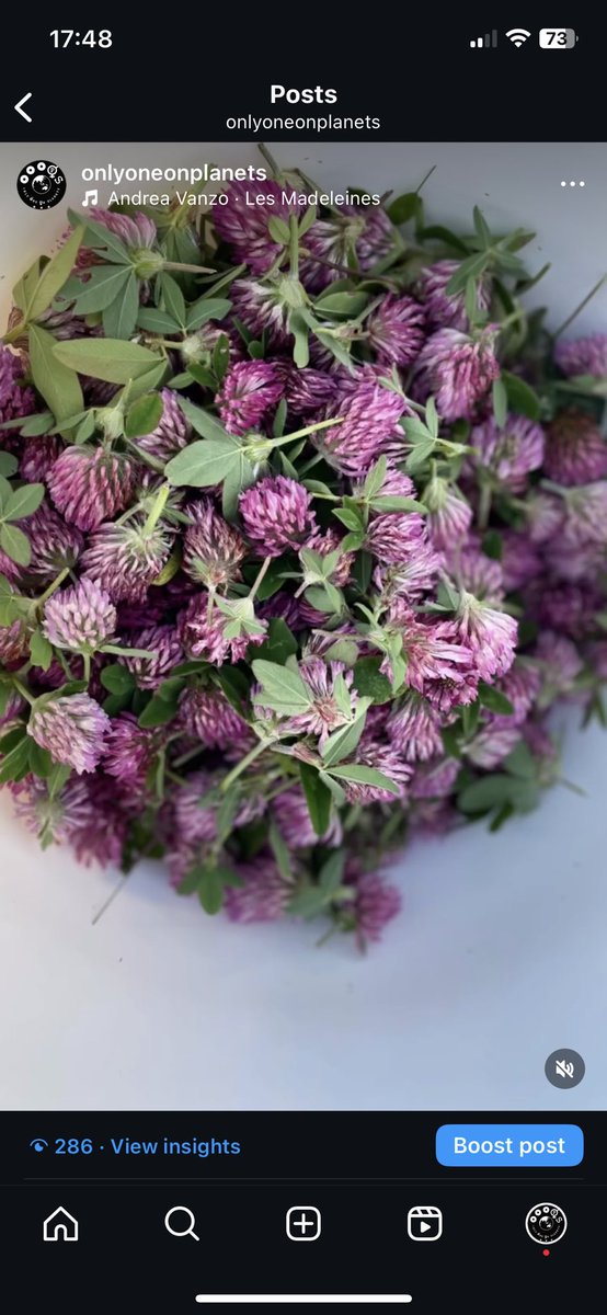 Only One On Planets tweet media