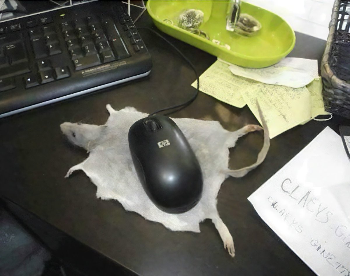 RIP Squeakster McFluffels, my fuzzy little chaos agent. 

A few days ago, my pet mouse kicked the bucket, and instead of a boring ol’ funeral, I taxidermy him as the world’s most pawsome mousepad for my WFH setup. 

How’s my DIY desk decor game? 🤔