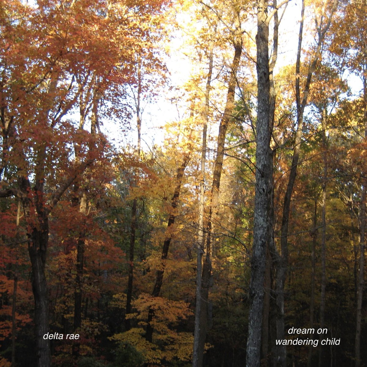 SINGLE ART - “Dream On Wandering Child”
A photo from our backyard at the band house in Durham, NC, 2009 — the place where our biggest dreams began.

Song out this Friday!