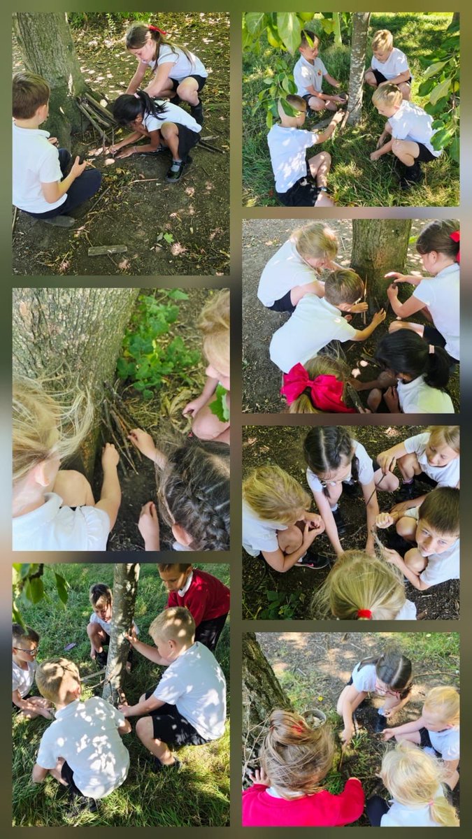 As part of our sustainability topic, Year 2 have been building bug houses for our wildlife.