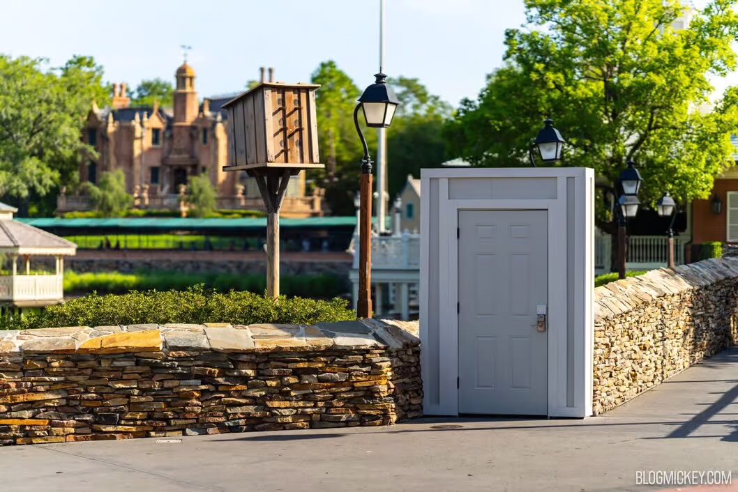 Stairs in the woods vibes.