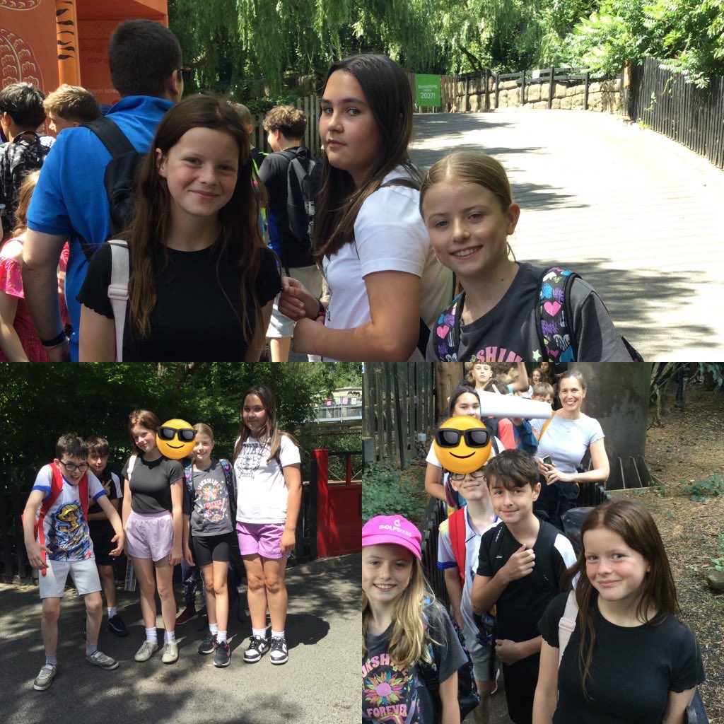 Great Gaddesden CE (VA) Primary School tweet media