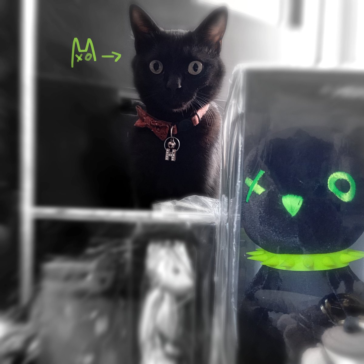 slightly_blank's tweet image. ★ Imposter kitty ^(=x v o=)^
Btw I'm not dead, just finishing this semester😭