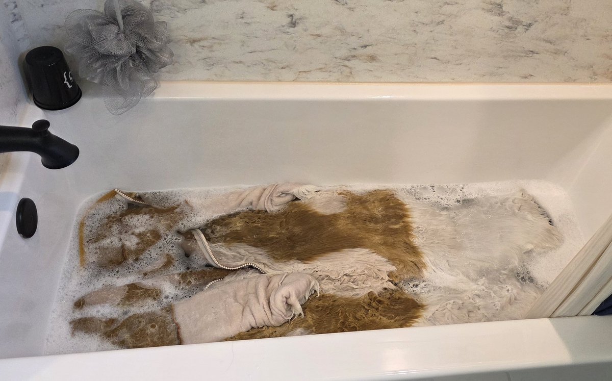 Chat what's that wet dog smell? ... 

Oh yeah, that ...
 
Friendly reminder to wash those carpets 😊 AC was hot, humid, and sweaty 🧼🫧